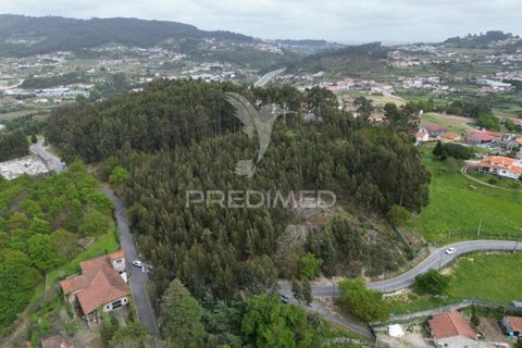 Helårsgrund i Guimaraes, Braga, Guimaraes - € 969.800 | Ref: 036381 - foto 21