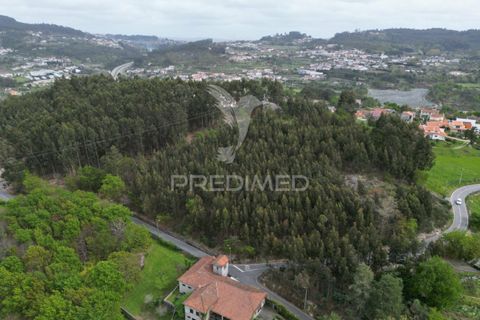 Helårsgrund i Guimaraes, Braga, Guimaraes - € 969.800 | Ref: 036381 - foto 22