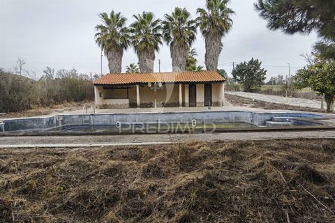 Byhus i Cartaxo, Santarem, Cartaxo - € 425.000 | Ref: 036708 - foto 4