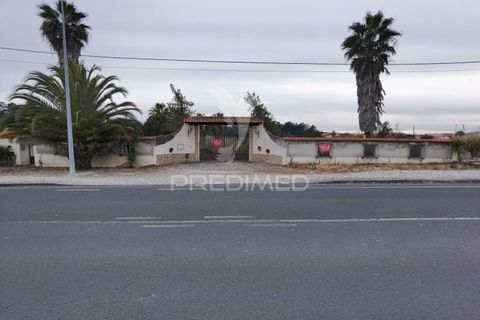 Byhus i Cartaxo, Santarem, Cartaxo - € 425.000 | Ref: 036708 - foto 7