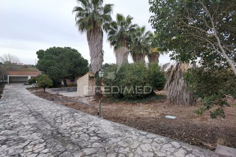 Byhus i Cartaxo, Santarem, Cartaxo - € 425.000 | Ref: 036708 - foto 10
