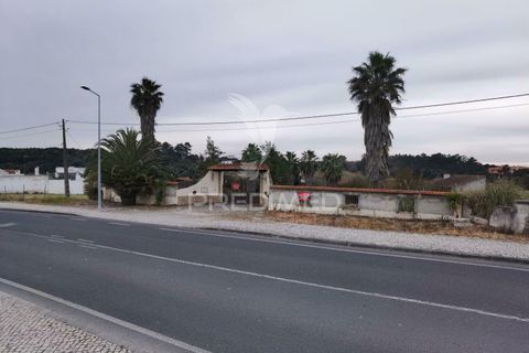 Byhus i Cartaxo, Santarem, Cartaxo - € 425.000 | Ref: 036708 - foto 11