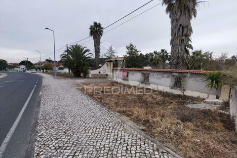 Byhus i Cartaxo, Santarem, Cartaxo - € 425.000 | Ref: 036708 - foto 12