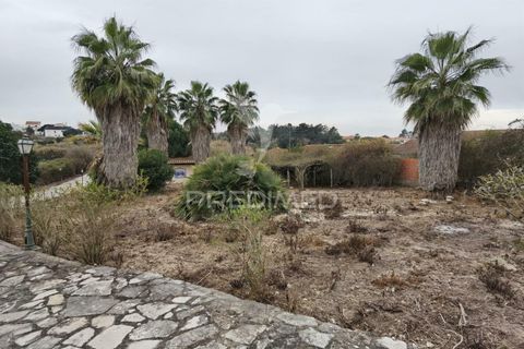 Byhus i Cartaxo, Santarem, Cartaxo - € 425.000 | Ref: 036708 - foto 14