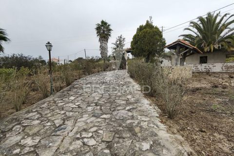 Byhus i Cartaxo, Santarem, Cartaxo - € 425.000 | Ref: 036708 - foto 15