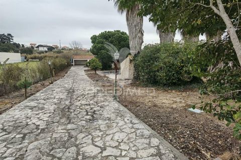 Byhus i Cartaxo, Santarem, Cartaxo - € 425.000 | Ref: 036708 - foto 16