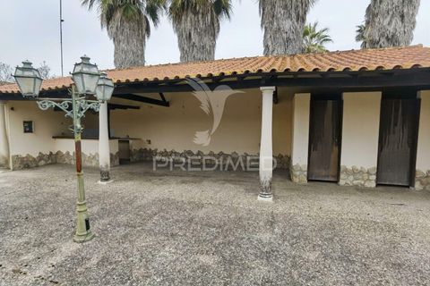Byhus i Cartaxo, Santarem, Cartaxo - € 425.000 | Ref: 036708 - foto 18