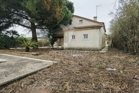 Byhus i Cartaxo, Santarem, Cartaxo - € 425.000 | Ref: 036708 - foto 20