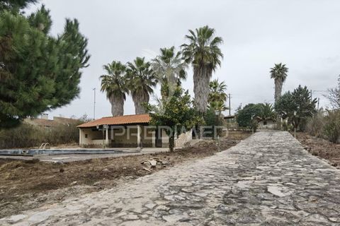 Byhus i Cartaxo, Santarem, Cartaxo - € 425.000 | Ref: 036708 - foto 21