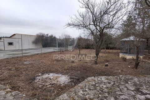 Byhus i Cartaxo, Santarem, Cartaxo - € 425.000 | Ref: 036708 - foto 24