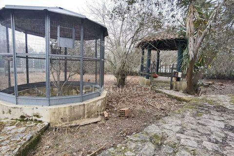 Byhus i Cartaxo, Santarem, Cartaxo - € 425.000 | Ref: 036708 - foto 25