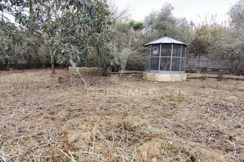 Byhus i Cartaxo, Santarem, Cartaxo - € 425.000 | Ref: 036708 - foto 26