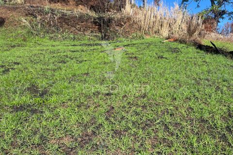 Helårsgrund i Calheta, Madeira, Calheta - € 695.000 | Ref: 037557 - foto 6