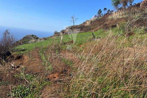 Helårsgrund i Calheta, Madeira, Calheta - € 695.000 | Ref: 037557 - foto 7