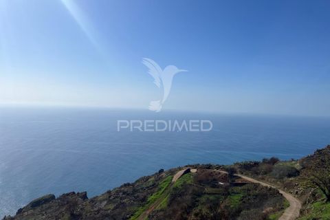 Helårsgrund i Calheta, Madeira, Calheta - € 695.000 | Ref: 037557 - foto 8