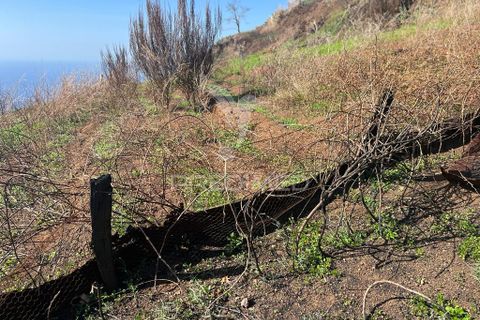 Helårsgrund i Calheta, Madeira, Calheta - € 695.000 | Ref: 037557 - foto 9