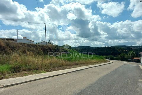 Terra a Chamusca, Santarem, Chamusca - € 20.000 | Ref: 037783 - foto 2