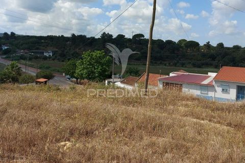 Terra a Chamusca, Santarem, Chamusca - € 20.000 | Ref: 037783 - foto 4