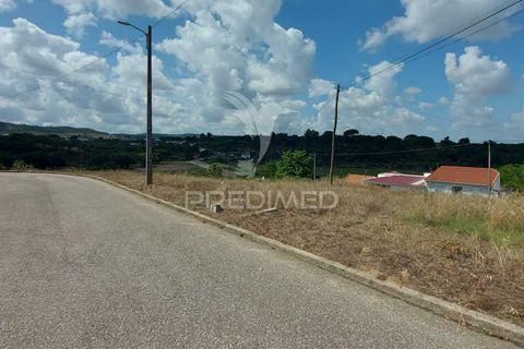 Terra a Chamusca, Santarem, Chamusca - € 20.000 | Ref: 037783 - foto 5