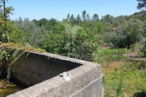 Byhus i Abrantes, Santarem, Abrantes - € 108.500 | Ref: 038620 - foto 20