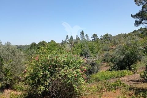 Byhus i Abrantes, Santarem, Abrantes - € 108.500 | Ref: 038620 - foto 21