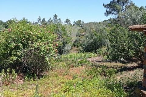Byhus i Abrantes, Santarem, Abrantes - € 108.500 | Ref: 038620 - foto 23