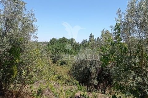 Byhus i Abrantes, Santarem, Abrantes - € 108.500 | Ref: 038620 - foto 24