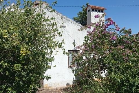 Byhus i Abrantes, Santarem, Abrantes - € 108.500 | Ref: 038620 - foto 30