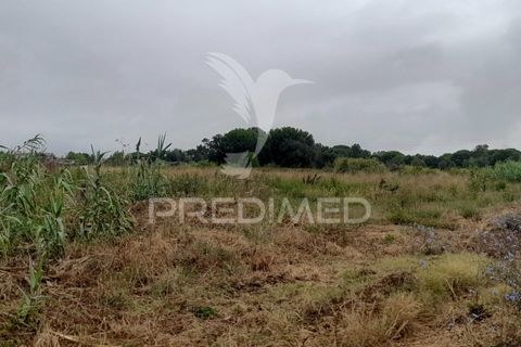 Tomt i Azambuja, Lisbon, Azambuja - € 650 000 | Ref: 038636 - foto 17