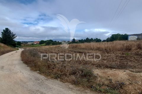 Tomt i Azambuja, Lisbon, Azambuja - € 650 000 | Ref: 038636 - foto 19