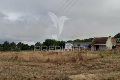 Tomt i Azambuja, Lisbon, Azambuja - € 650 000 | Ref: 038636 - foto 22