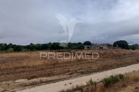 Tomt i Azambuja, Lisbon, Azambuja - € 650 000 | Ref: 038636 - foto 25