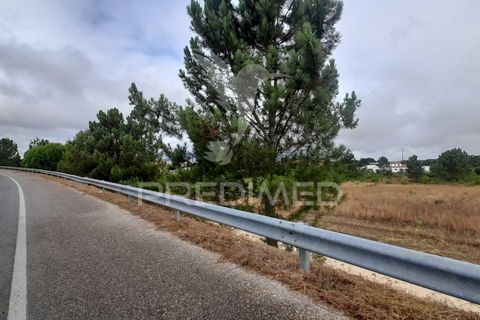 Tomt i Azambuja, Lisbon, Azambuja - € 650 000 | Ref: 038636 - foto 31