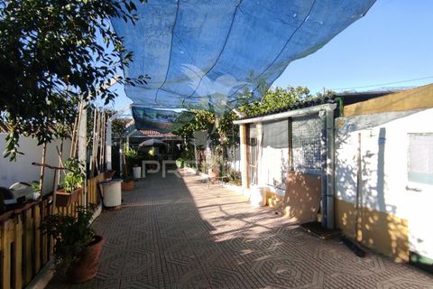 Byhus i Beja, Beja, Beja - € 225.000 | Ref: 038933 - foto 3