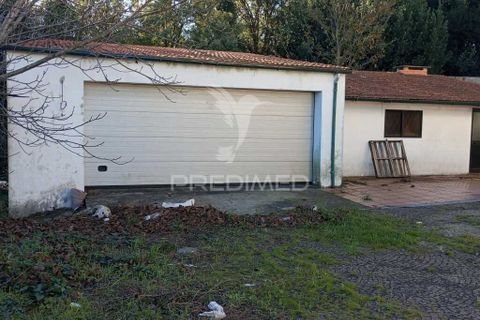 Byhus i Sever do Vouga, Aveiro, Sever do Vouga - € 350.000 | Ref: 041404 - foto 31