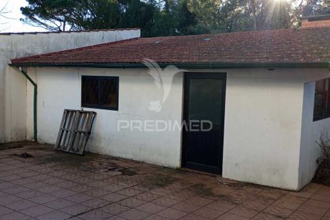 Byhus i Sever do Vouga, Aveiro, Sever do Vouga - € 350.000 | Ref: 041404 - foto 38