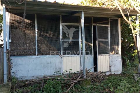 Byhus i Sever do Vouga, Aveiro, Sever do Vouga - € 350.000 | Ref: 041404 - foto 39
