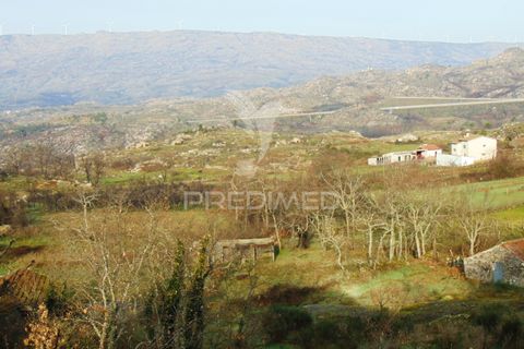 Byhus i Vila Real, Vila Real, Vila Real - € 20.000 | Ref: 042359 - foto 23