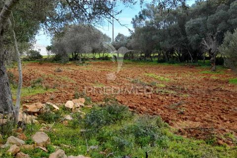 Helårsgrund i Olhao, Faro, Olhao - € 45.000 | Ref: 043338 - foto 1