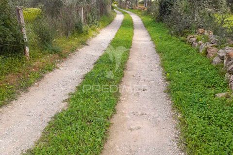 Helårsgrund i Olhao, Faro, Olhao - € 45.000 | Ref: 043338 - foto 2