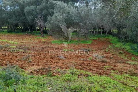 Helårsgrund i Olhao, Faro, Olhao - € 45.000 | Ref: 043338 - foto 3