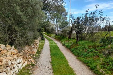 Helårsgrund i Olhao, Faro, Olhao - € 45.000 | Ref: 043338 - foto 4