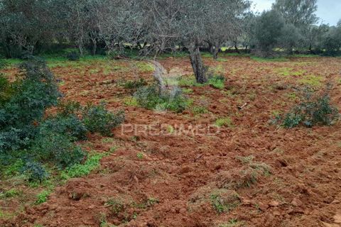 Helårsgrund i Olhao, Faro, Olhao - € 45.000 | Ref: 043338 - foto 5
