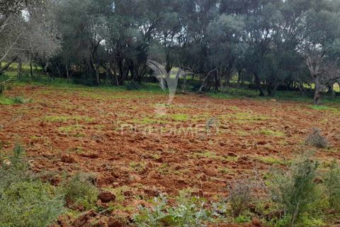 Helårsgrund i Olhao, Faro, Olhao - € 45.000 | Ref: 043338 - foto 6