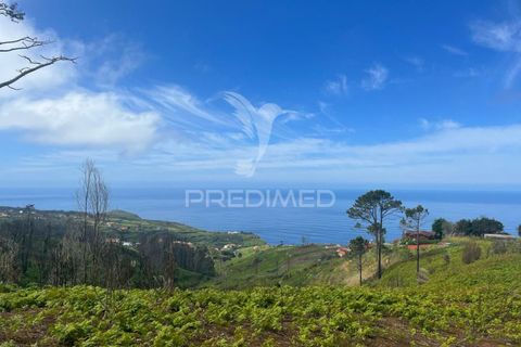 Helårsgrund i Calheta, Madeira, Calheta - € 450.000 | Ref: 043683 - foto 2