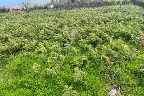 Helårsgrund i Calheta, Madeira, Calheta - € 450.000 | Ref: 043683 - foto 3