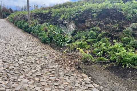 Helårsgrund i Calheta, Madeira, Calheta - € 450.000 | Ref: 043683 - foto 4