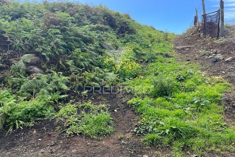 Helårsgrund i Calheta, Madeira, Calheta - € 450.000 | Ref: 043683 - foto 8