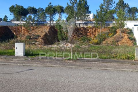 Terra a Constancia, Santarem, Constancia - € 60.000 | Ref: 043723 - foto 2