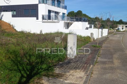 Terra a Constancia, Santarem, Constancia - € 60.000 | Ref: 043723 - foto 3